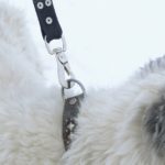 Поводок для собак DogAirBox L фото2.2